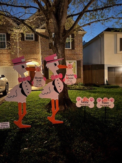 New Baby Announcement Yard Sign in Bellaire, Texas
