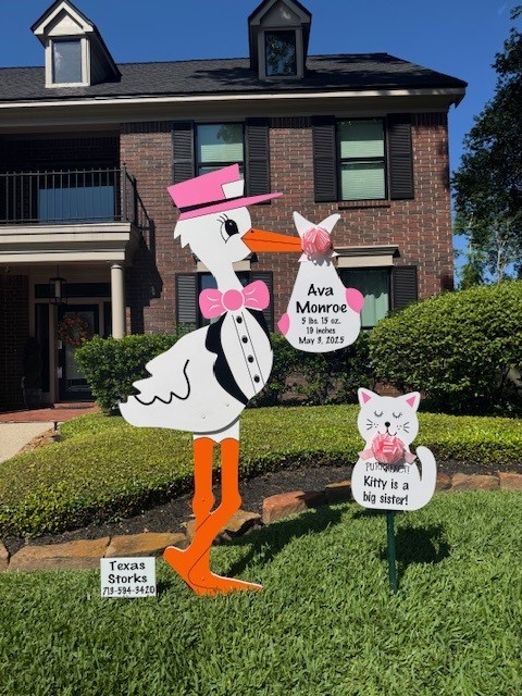New Baby Announcement Yard Sign in Kingwood, Texas