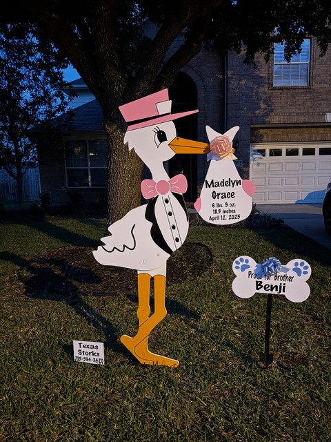New Baby Announcement Yard Sign in Katy, Texas