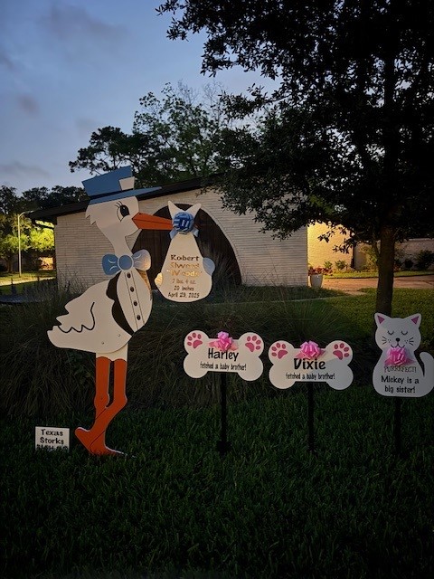 New Baby Announcement Yard Sign in Memorial, Texas