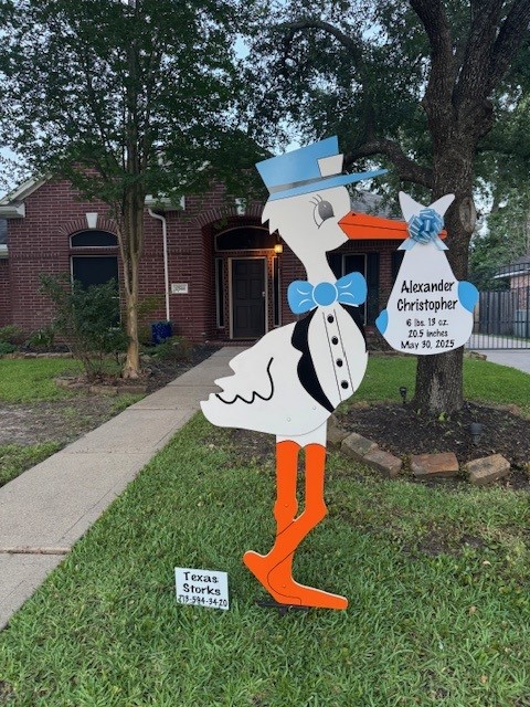 New Baby Announcement Yard Sign in Tomball, Texas