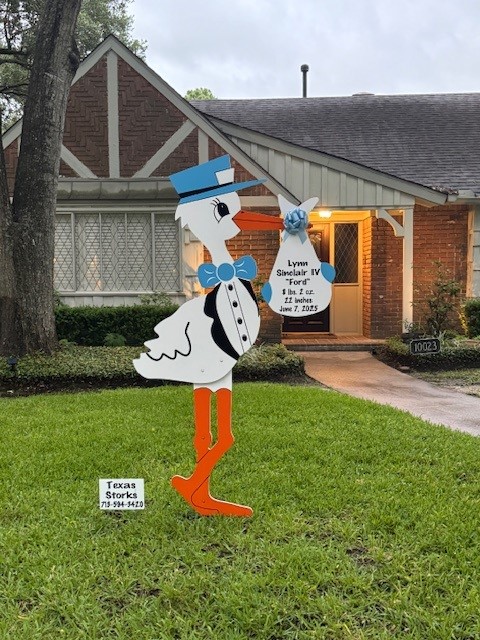 New Baby Announcement Yard Sign in Briar Grove, Texas