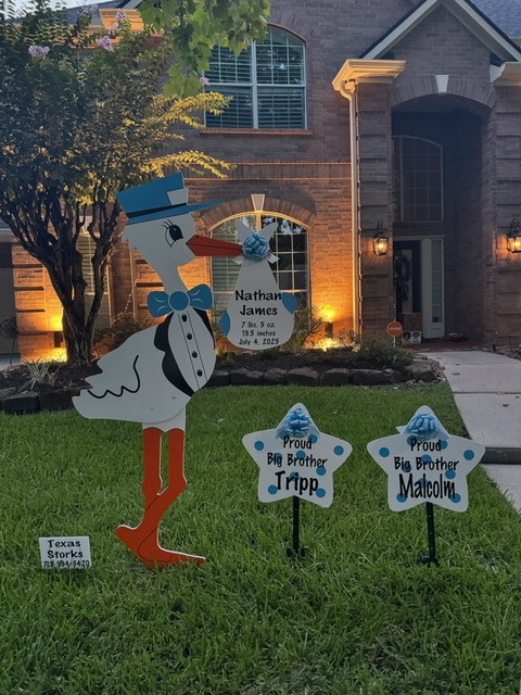 New Baby Announcement Yard Sign in Kingwood, Texas
