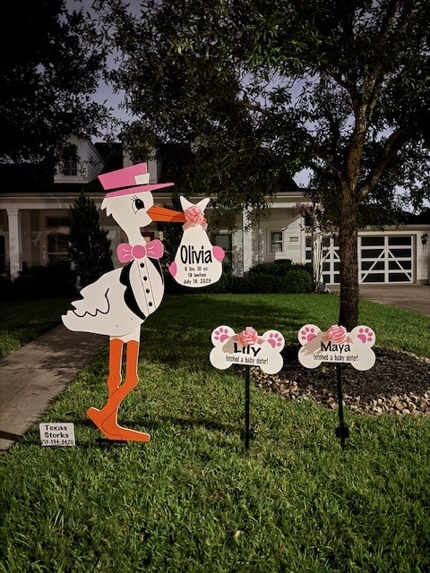 New Baby Announcement Yard Sign in Spring, Texas