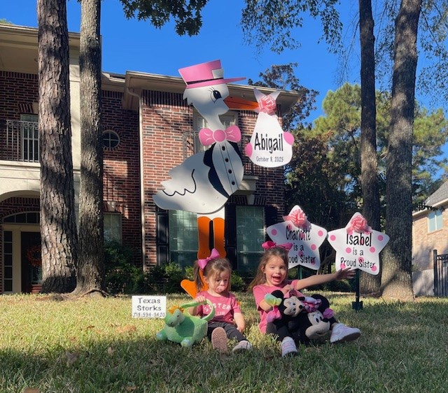 New Baby Announcement Yard Sign in Kingwood, Texas