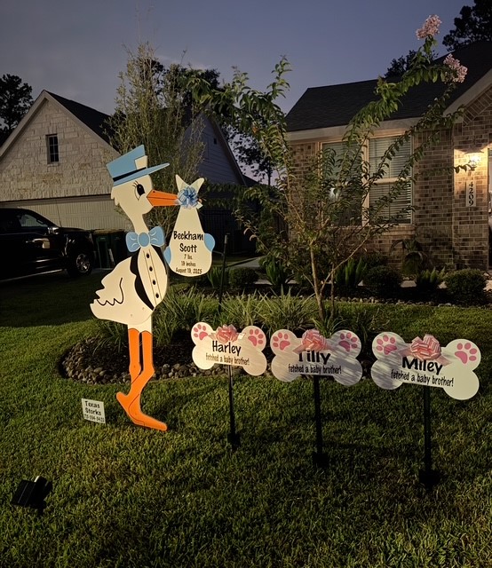 New Baby Announcement Yard Sign in Kingwood, Texas