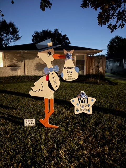 New Baby Announcement Yard Sign in Briargrove Park, Texas