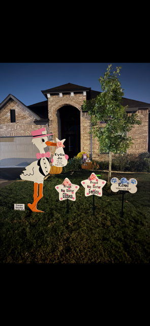 New Baby Announcement Yard Sign in Spring, Texas