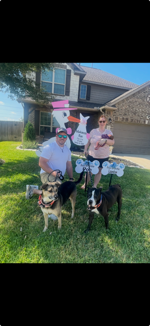 New Baby Announcement Yard Sign in Hockley, Texas
