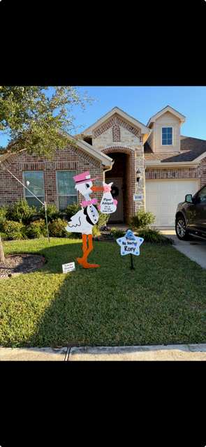 New Baby Announcement Yard Sign in Humble, Texas