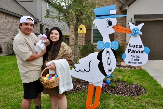New Baby Announcement Yard Sign in Memorial, Texas