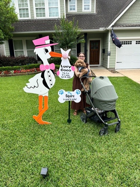 New Baby Announcement Yard Sign in Oak Forest, Texas