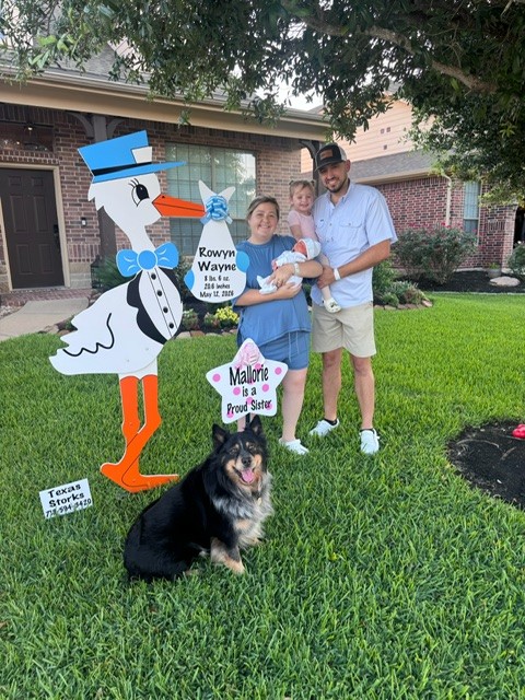 New Baby Announcement Yard Sign in Tomball, Texas